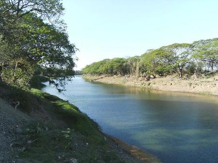 Chepetoño