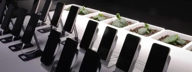 ¿Es bueno para la batería usar el móvil mientras lo cargas? Experimentaron con 16 iPhone durante 193 días para comprobarlo y este es el resultado ¿Es bueno para la batería usar el móvil mientras lo cargas? Experimentaron con 16 iPhone durante 193 días para comprobarlo y este es el resultado