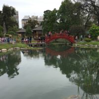 El maravilloso Jardín Japonés de Buenos Aires 