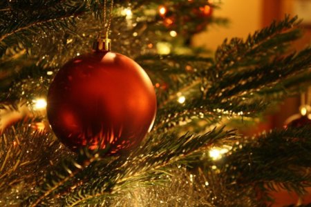 Prepárate para recibir las fiestas de fin de año con salud