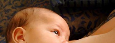 Nuevo estudio sobre los sabores de la leche materna