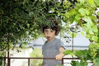 Vendimia infantil en La Rioja