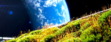 Japón ha puesto musgo en el exterior de la ISS. Después de 283 días se ha convertido en el primer paso para reverdecer Marte