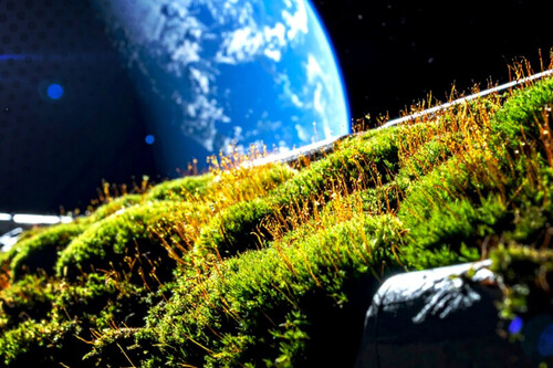 Unos científicos han pegado musgo al exterior de la ISS durante 283 días. Se ha convertido en el primer paso para reverdecer otros mundos 