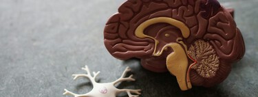 El Alzheimer ya no parece irreversible: la ciencia logra que cerebros con daños avanzados se recuperen por primera vez en animales