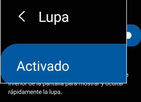 Lupa Android Samsung