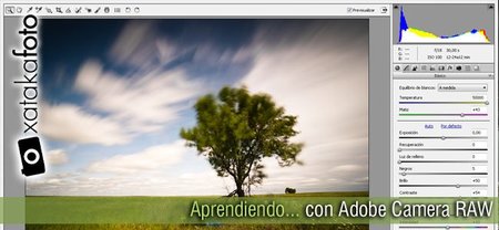 Aprendiendo con Adobe Camera RAW (IV): Primera parte.