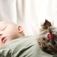 Los bebés que conviven con perros tienen menos riesgo de desarrollar asma 