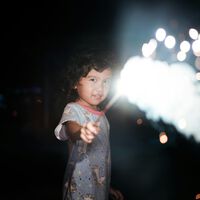 Que nos insistan en no prender cohetes en diciembre tiene un buen motivo. Y no solo son los animales