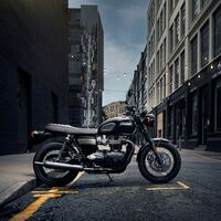 ¡Exquisitas! La edición especial Gold Line de las Triumph Bonneville, Scrambler y Street Scrambler sea lo más bonito que verás hoy
