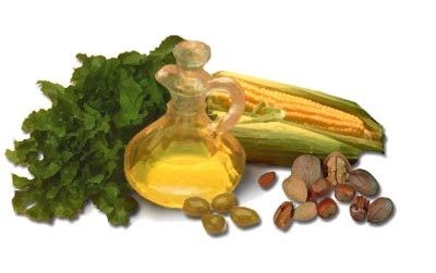 Protege tus músculos con vitamina E