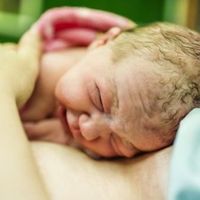 Cuánto cuesta un parto hospitalario en España: el precio de dar a luz