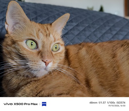 Vivo X500 Pro Max