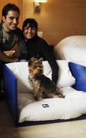 Camas para mascotas en Travelodge