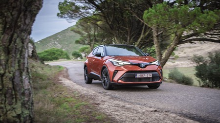 C-HR en un bosque