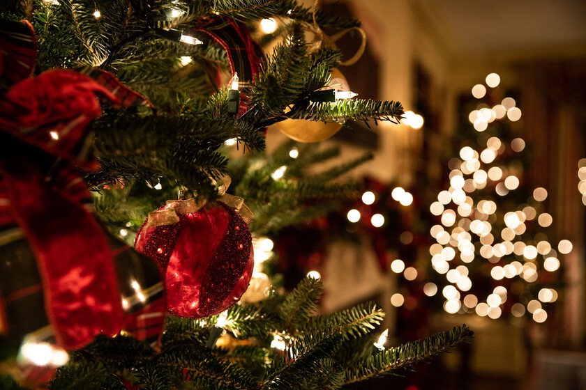 arbol