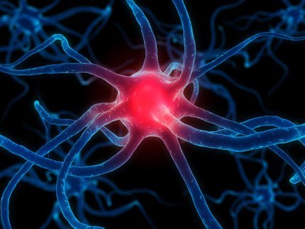 ¿El ser humano sólo utiliza el 10 % de su capacidad mental? (I)