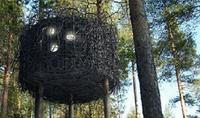 Suecia: inauguran un hotel con habitaciones suspendidas en los árboles
