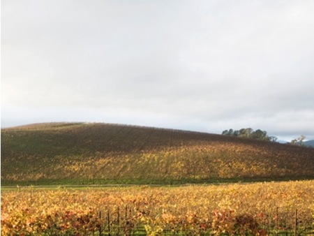 Imagen de la semana: Windows XP ahora