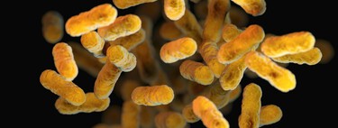 We have a problem with typhoid fever: a global superbug has cornered us and only a vaccine can save us