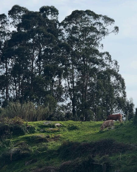 Las Vistas Desde Nuestra Futura Cocina Un Sueno