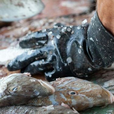 Cómo retirar las escamas al pescado sin cuchillo: estos son los trucos de un chef