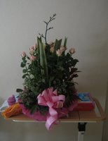 En la planta de maternidad: tipos de familias