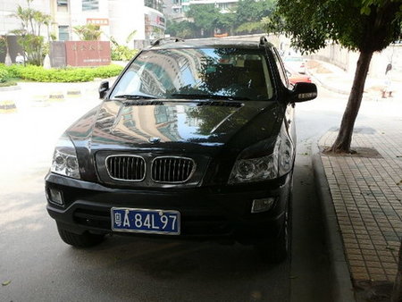 BMW_X5_Palo-2.jpg