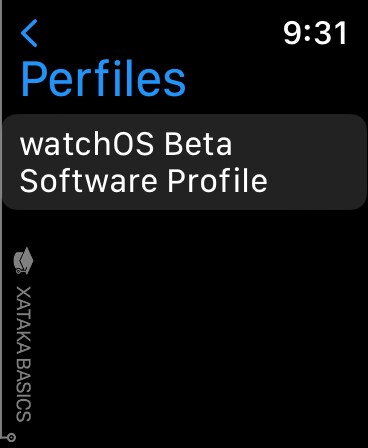 Watchos Beta