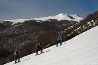 ¿Quién es el líder? 