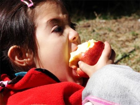 Buenos hábitos alimenticios desde la infancia para evitar problemas de salud futuros