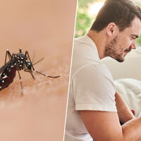 Por 10 euros he conectado mi móvil con el antimosquitos. Es el mejor truco para dormir con la ventana abierta en verano 