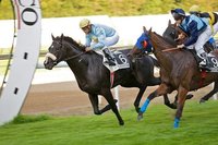 Objetivos y herramientas, cuidado, no los confundamos