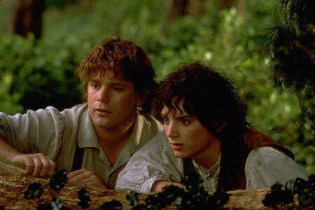 The Lord Of The Rings The Fellowship Of The Ring 2001