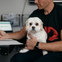 Grandes empresas de EEUU están dando ultimátums para que los trabajadores vuelvan a la oficina. No lo están consiguiendo