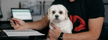 Grandes empresas de EEUU están dando ultimátums para que los trabajadores vuelva a la oficina. No lo están consiguiendo 