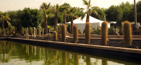 Desert City 5