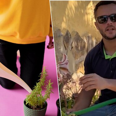 Joan Calderón, experto jardinero: "La mayoría de las plantas no se mueren por falta de agua, sino porque las regamos mal" 