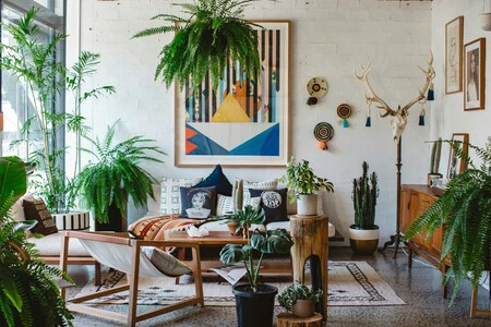 Luisa Brimble 1kyprl0keve Unsplash.