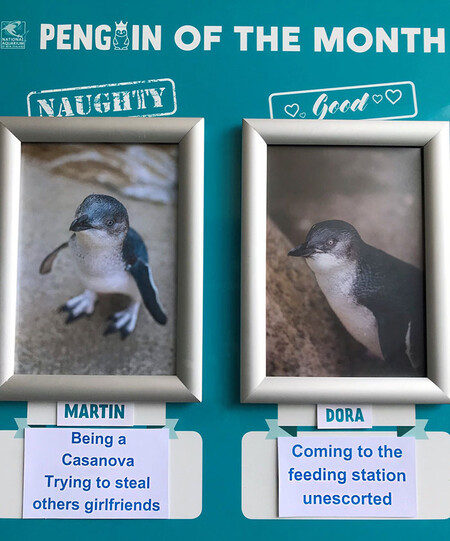 Martin y Dora