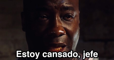 Millennials Cansancio Politico Escoger Mejor Amiga Acto Politico