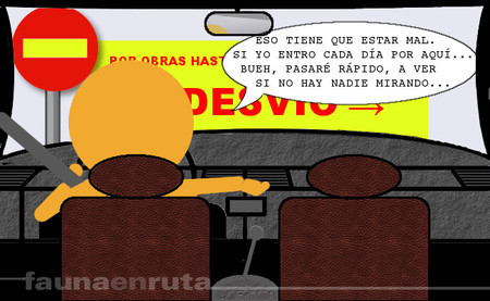 fauna en ruta: Hábitos de la conducción