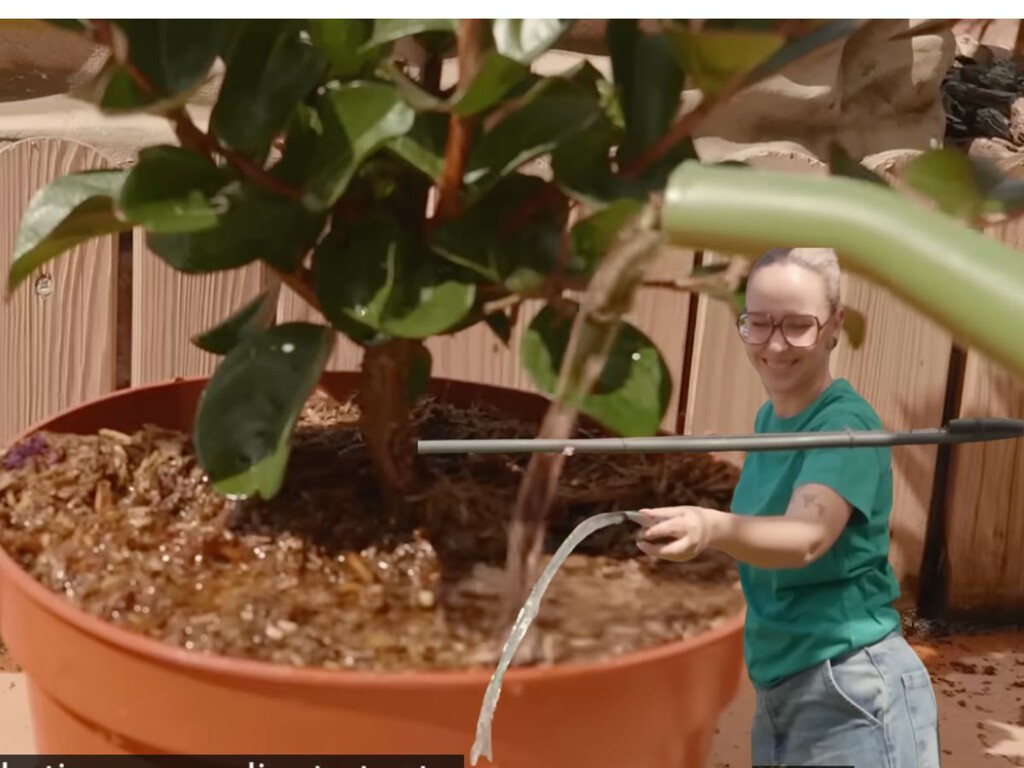 Expertos jardineros coinciden: “Regar tus plantas a las tres de la tarde es como echarles un cubo de agua hirviendo por encima”
