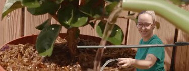 Expertos jardineros coinciden: “Regar tus plantas a las tres de la tarde es como echarles un cubo de agua hirviendo por encima” 