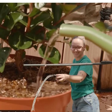 Expertos jardineros coinciden: “Regar tus plantas a las tres de la tarde es como echarles un cubo de agua hirviendo por encima” 