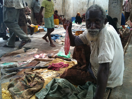 socotra