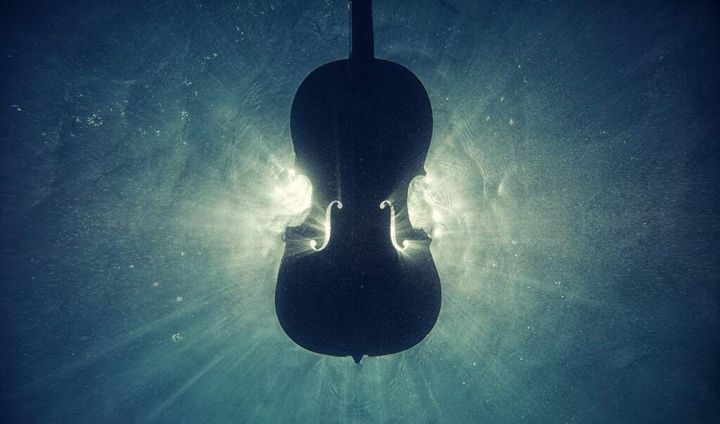Apple Classical vuelve a asomarse: descubren más rastros del servicio en el código de Apple Music Apple Classical vuelve a asomarse: descubren más rastros del servicio en el código de Apple Music