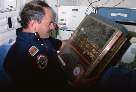 Sts 41c 29 Van Hoften Bee Experiment 41c 05 188