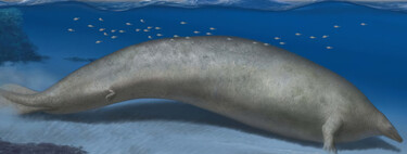 Achávamos que a baleia azul era gigante, até encontrarmos Colossus, o animal mais pesado da história 