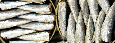 Las conservas de pescado suelen ser mejores cuanto más grande es el producto, pero hay una deliciosa excepción